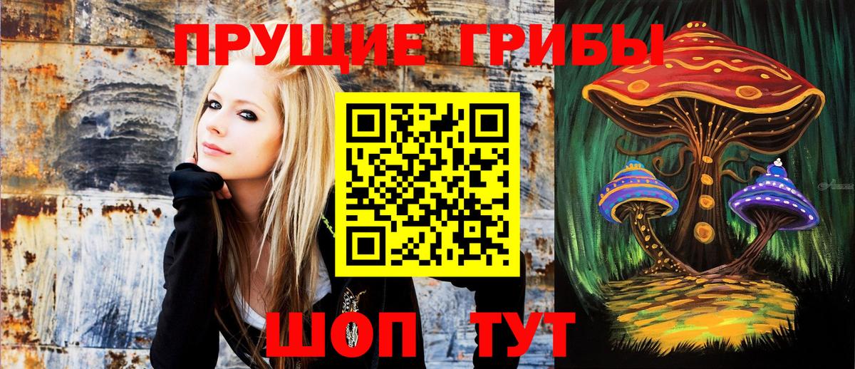Псилоцибиновые грибы прущие грибы Норильск