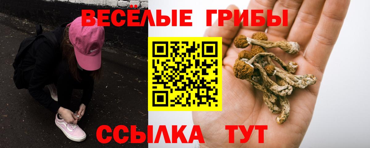 Норильск  сколько стоит  Вход с VPN  Галлюциногенные грибы мухоморы  Галлюциногенные грибы прущие грибы 